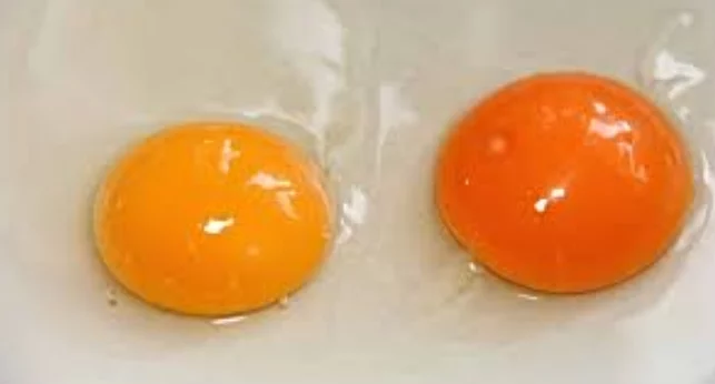 Por qué no debes cascar un huevo en la encimera o en el plato al cocinar