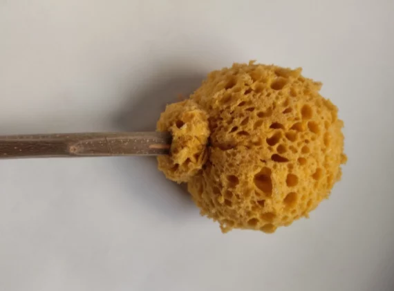 El truco que usaban en la Antigua Roma para limpiarse en el baño mejor que el papel higiénico