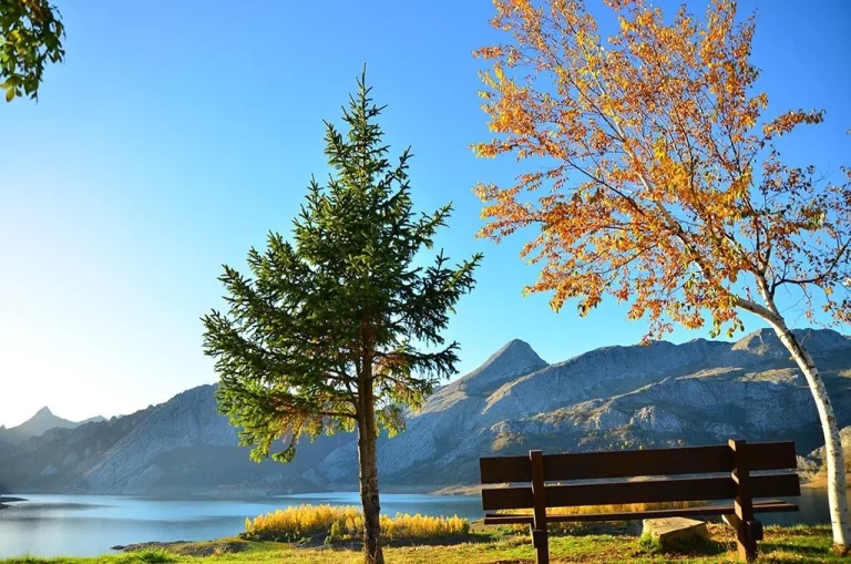 ¿Ganas de una escapada rural? Estos son los 5 mejores hoteles rurales de España