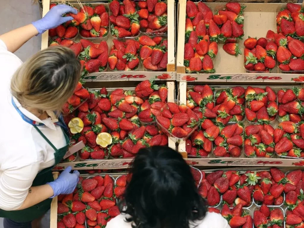 Así puedes saber si las frutas o verduras tienen pesticidas no permitidos 133 Impacto ambiental y riesgos para la salud