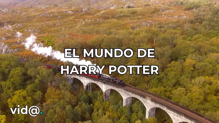 Todo sobre el mundo de Harry Potter