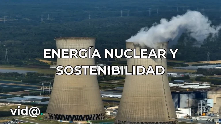¿La energía nuclear y la sostenibilidad son compatibles?
