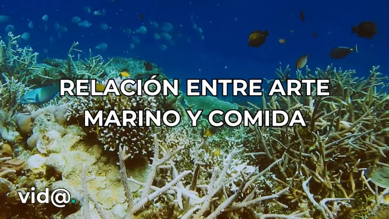 Relación entre arte marino y comida