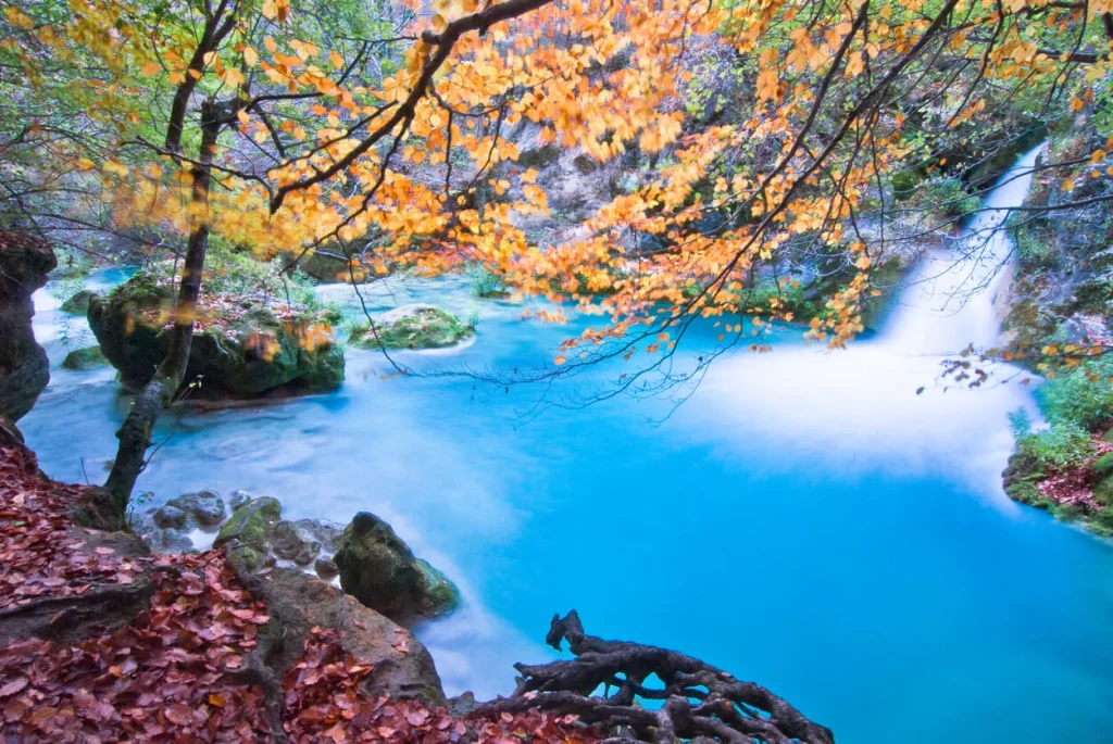 El Caribe de Navarra te espera con los brazos abiertos