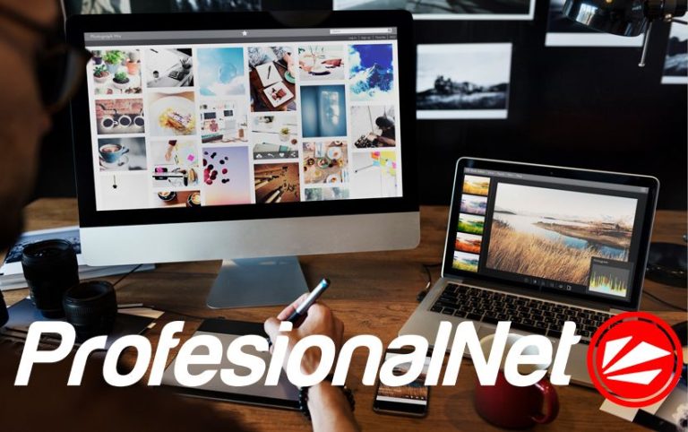 El Diseño web en 2024: nuevas tendencias y desafíos, por ProfesionalNet