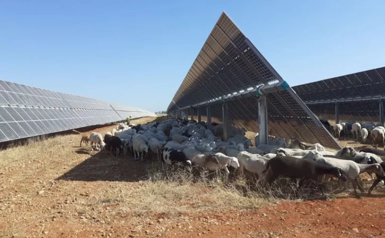 UNEF pide seguir apostando por I+D+I para alcanzar los objetivos de descarbonización