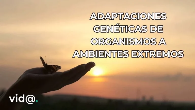 Adaptaciones genéticas de organismos a ambientes extremos