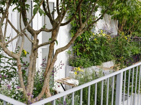 Cómo transformar tu balcón en un oasis urbano: crea tu refugio verde en la ciudad