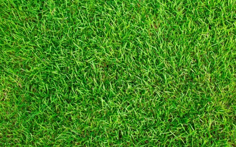 Instala césped artificial de primera calidad en tus inmuebles