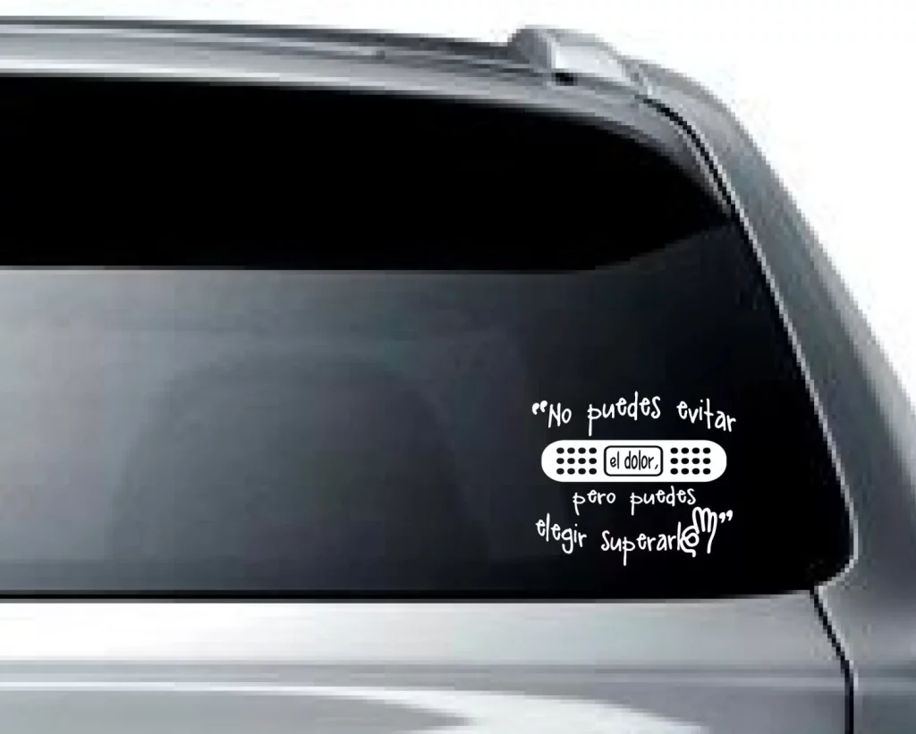 La DGT te meterá un buen puro como lleves alguna de estas pegatinas en el coche 32 La subjetividad en la aplicación de las normas: ¿una zona gris?