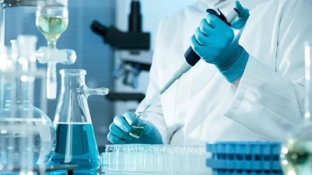 La ciencia revela a qué edad eres oficialmente un adulto mayor: Es antes de lo que piensas 1 ¿Qué explica la ciencia sobre esta conclusión?