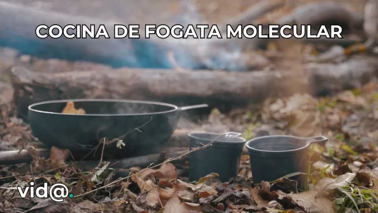 Cocina de fogata molecular