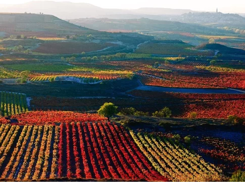 Miguel (45 años), bodeguero en La Rioja: Miguel (45 años), bodeguero en La Rioja: