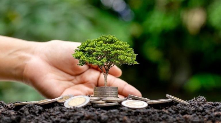 Allianz Soluciones de Inversión amplía su oferta con nuevos fondos con foco en la sostenibilidad