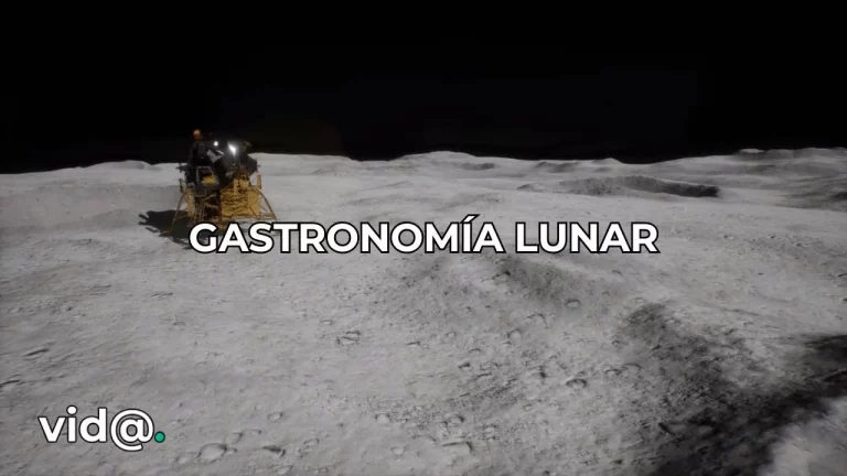 Gastronomía lunar
