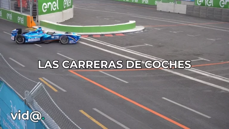 Las carreras de coches