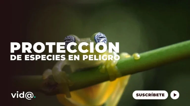 Protección de especies en peligro