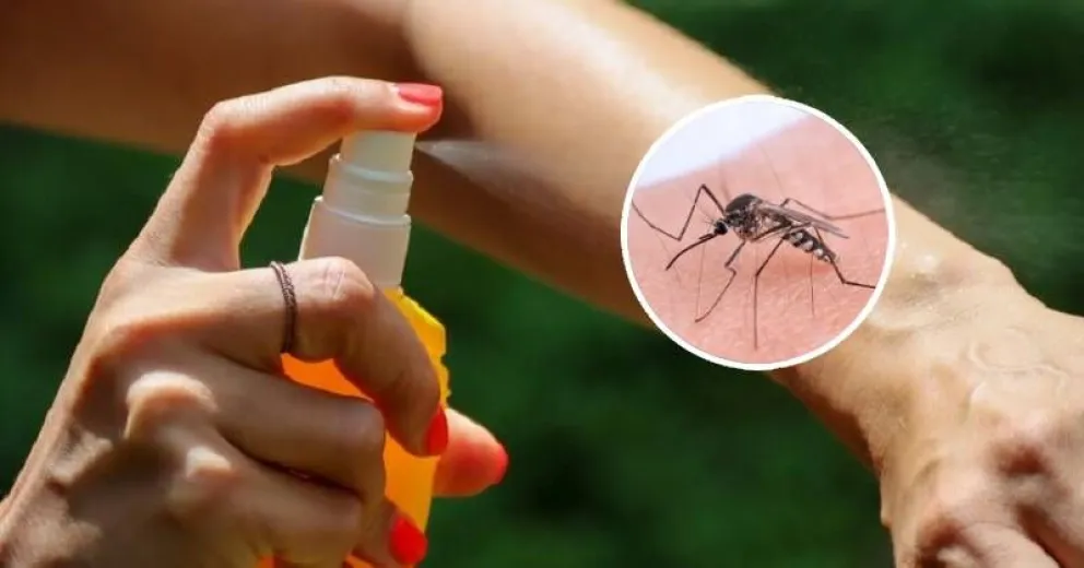 El repelente casero, una alternativa ideal para combatir a los mosquitos 