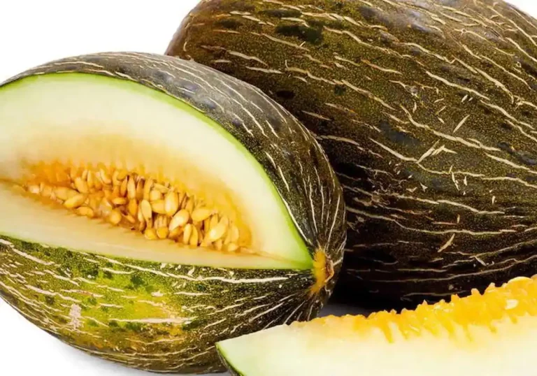 5 errores al conservar melón cortado que lo dejan aguado y sin sabor (y cómo evitarlos)