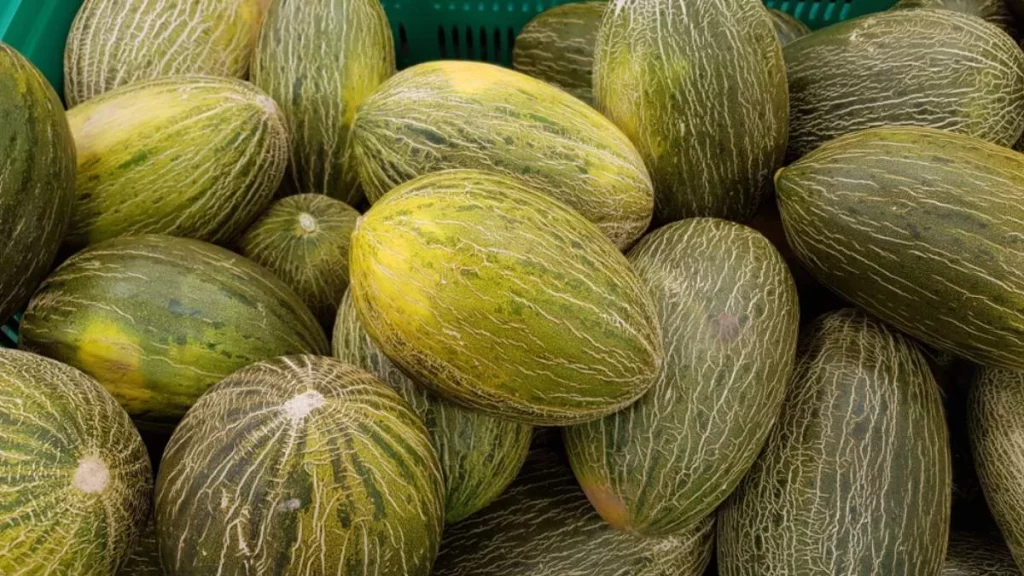 Alerta sanitaria en España por un alimento procedente de Marruecos 121 El reto de la trazabilidad alimentaria