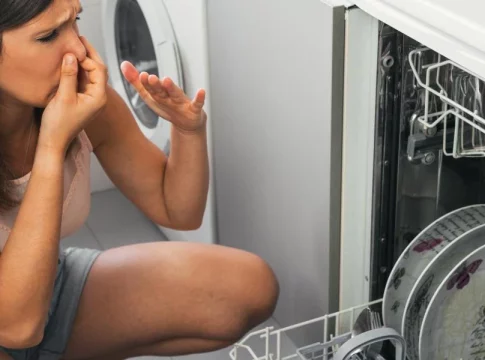 olor lavavajillas Cómo quitar el mal olor del lavavajillas