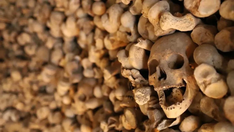 Descubre el Osario de Wamba, la capilla de Valladolid con miles de calaveras a la vista