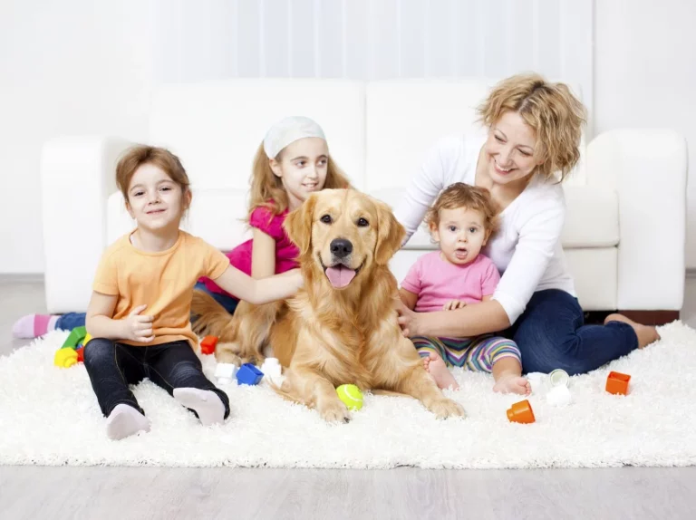 Las 3 razas de perros más cariñosas ideales para peques