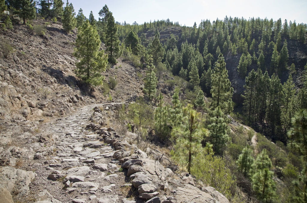 Debes estar varias horas en Sevilla para recorrer gran parte del parque 