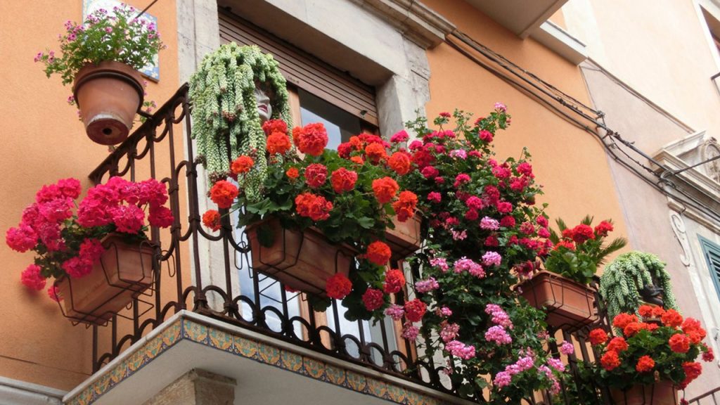Las plantas juegan un rol muy importante en tu balcón 