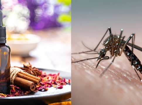 Cómo preparar repelentes caseros que funcionan para evitar picaduras de mosquitos