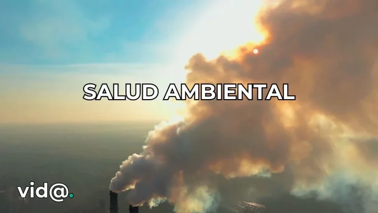 Salud ambiental