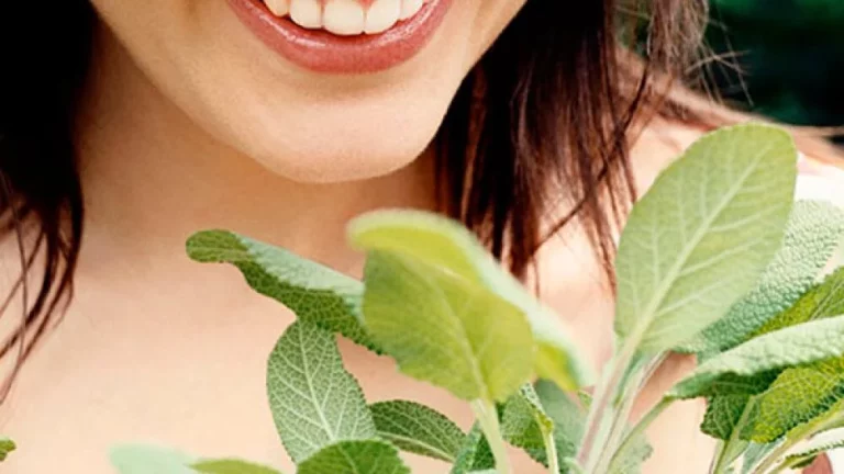 Cómo utilizar la salvia para blanquear los dientes