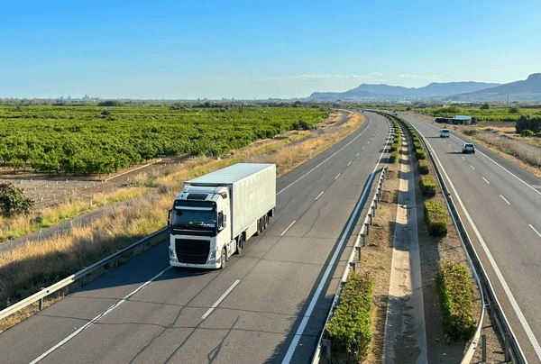 Educación y concienciación: la mejor defensa contra los timos