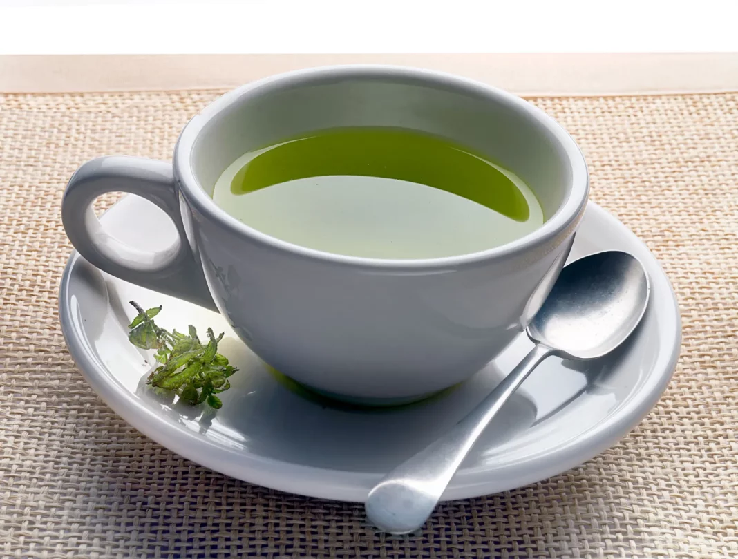 El té verde: hidratación, frescura y defensa celular