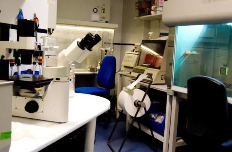 La transformación de la salud global a lo largo de la última década