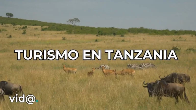 Turismo en Tanzania