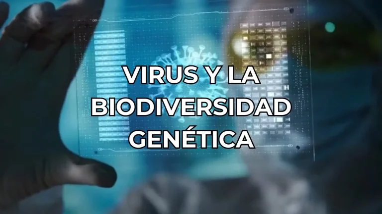 El rol de los virus en la modulación de la biodiversidad genética