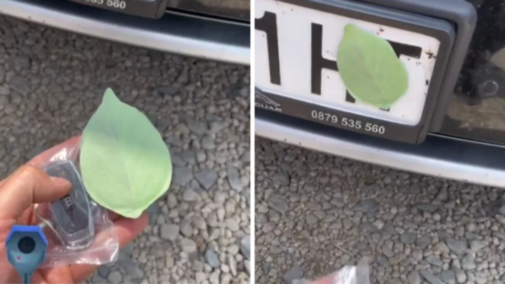 Matrícula visible: Una prioridad a no descuidar