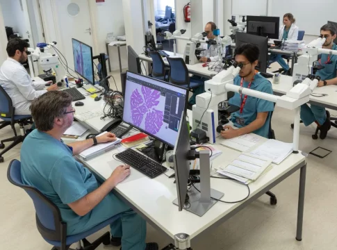 IA para mejorar diagnósticos IA para mejorar diagnósticos