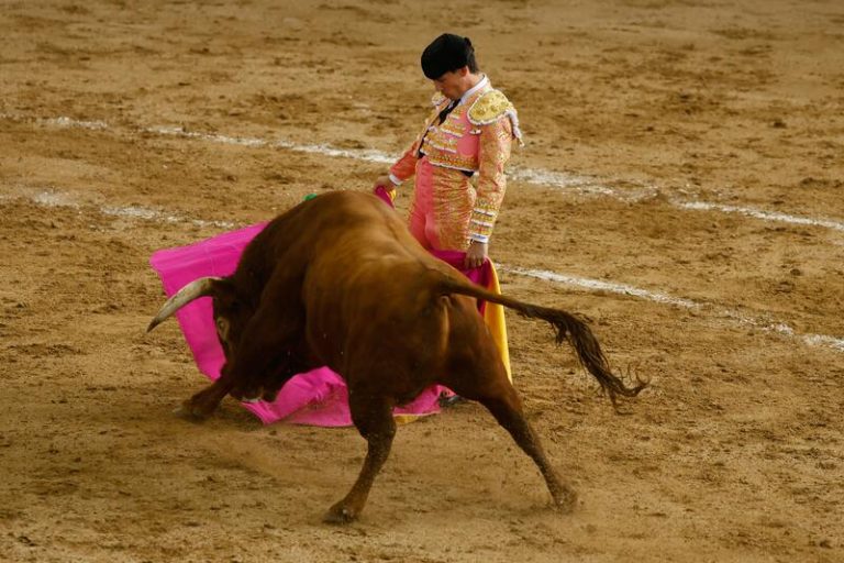 PACMA insta a Sánchez a prohibir las corridas de toros como en Colombia 