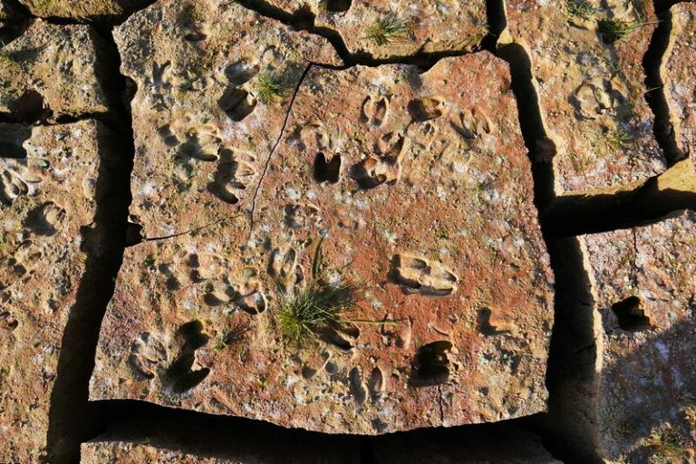 El 2023 fue el segundo año más cálido en España y el sexto más seco desde 1961, según AEMET