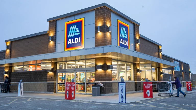 Aldi acaba con las moscas y mosquitos con su arma definitiva de 4 euros