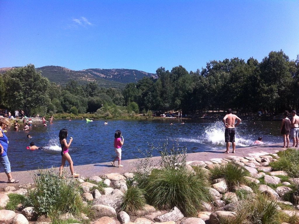 Actividades para disfrutar en familia