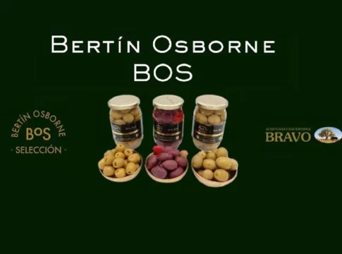 Bertin Osborne BOS Bertin Osborne BOS