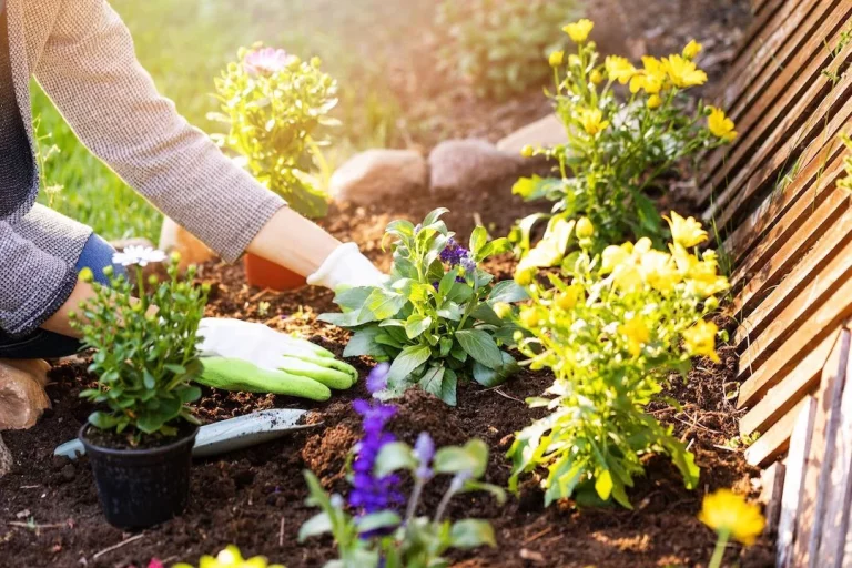 Conoce los 5 trucos caseros para mantener tu jardín exuberante y lleno de vida durante el verano Conoce los 5 trucos caseros para mantener tu jardín exuberante y lleno de vida durante el verano