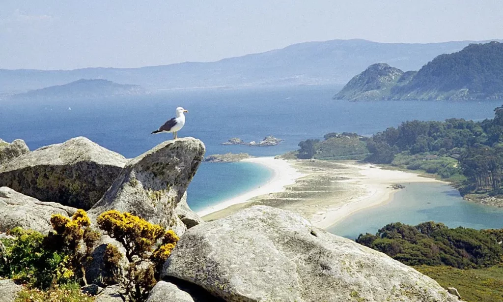 Descubriendo la joya oculta