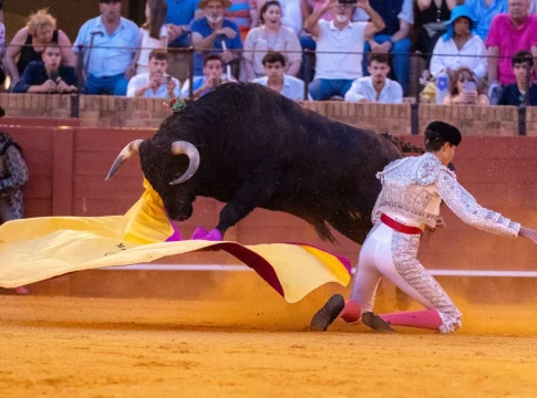 Animalistas piden al Papa condenar la tauromaquia pero expertos en doctrina católica cuestionan que sea un pecado