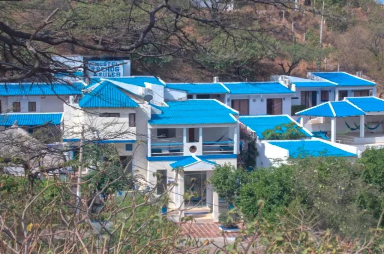 Video muestra la perturbadora razón por la que los chinos están pintando sus techos de color azul