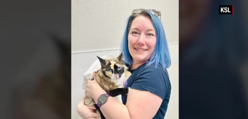 Mandaron a su gato en una caja de Amazon por error de un lado a otro del país durante 6 días