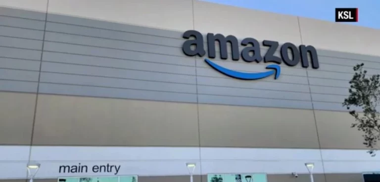 Mandaron a su gato en una caja de Amazon por error de un lado a otro del país durante 6 días